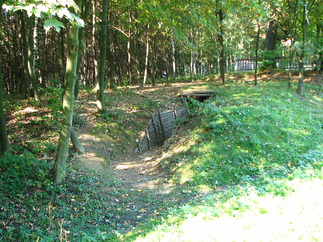 Cmentarz wojenny 193 Dąbrówka Szczepanowska
