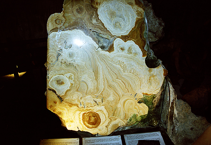 Przecięty stalaktyt w jaskini św. Michała