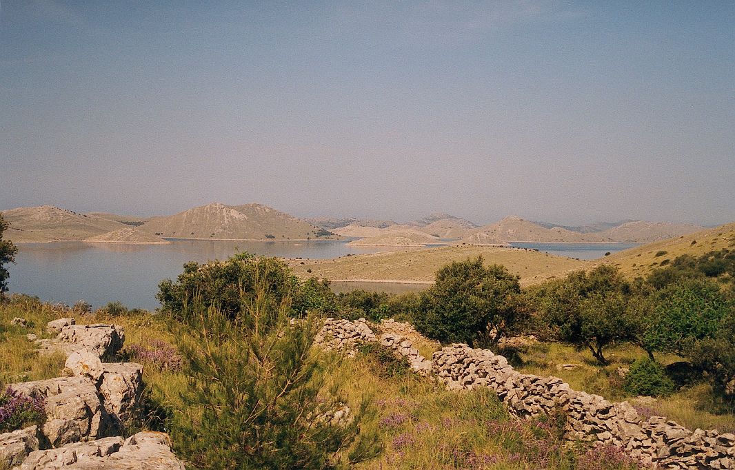 Widok ze szczytu wyspy Žut