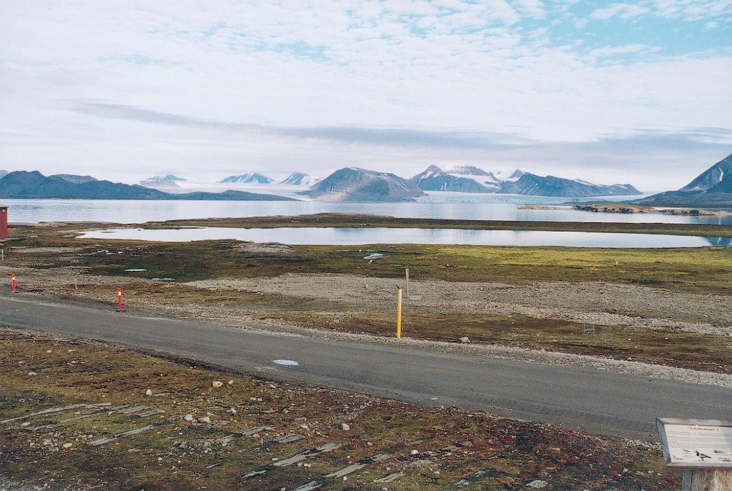 Widok na góry otaczające Kongsfjord