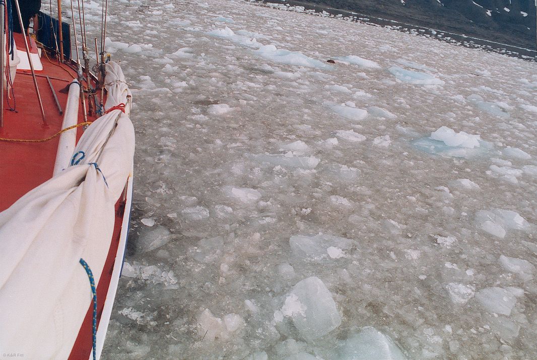 Jacht wolno płynie wśród kawałków lodu z pobliskiego lodowca