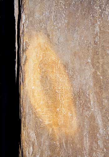 Widok na smoka wyrytego na ścianie grobowca