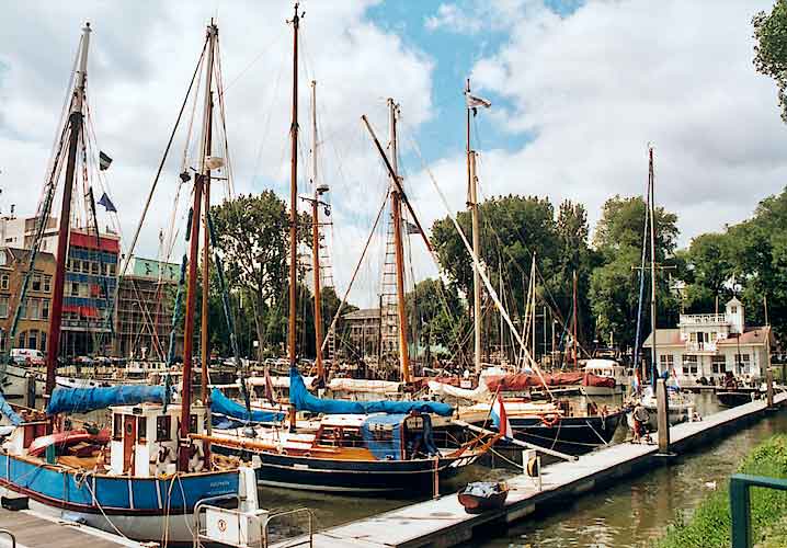 Marina w Rotterdamie