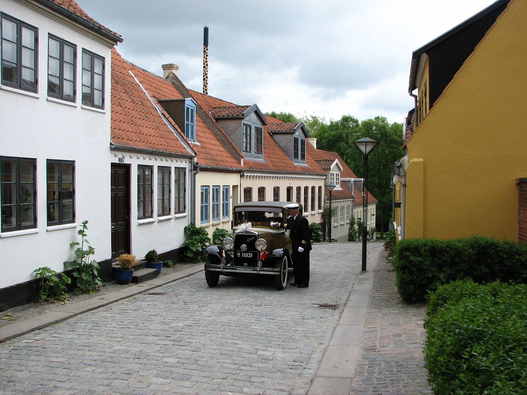 Odense oznacza „świątynia Odyna”, boga z mitologii nordyckiej. Jest to jedno z najstarszych duńskich miast