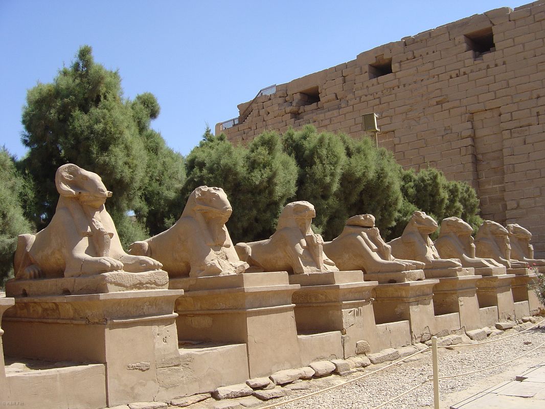 Od Nilu do pierwszych pylonów świątyni wiodła aleja procesyjna z 40 sﬁnksami o baranich głowach