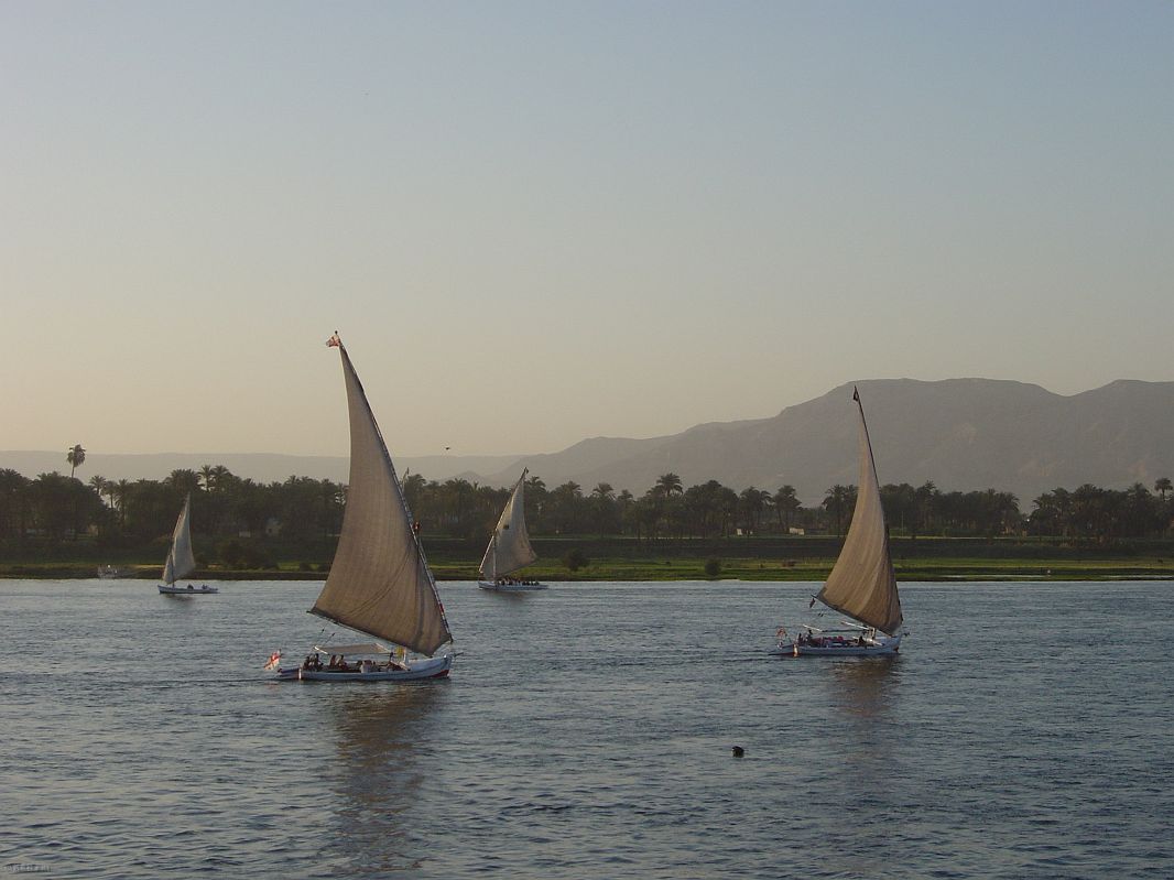 Feluki – kiedyś główny środek transportu na Nilu, obecnie atracja dla turystów