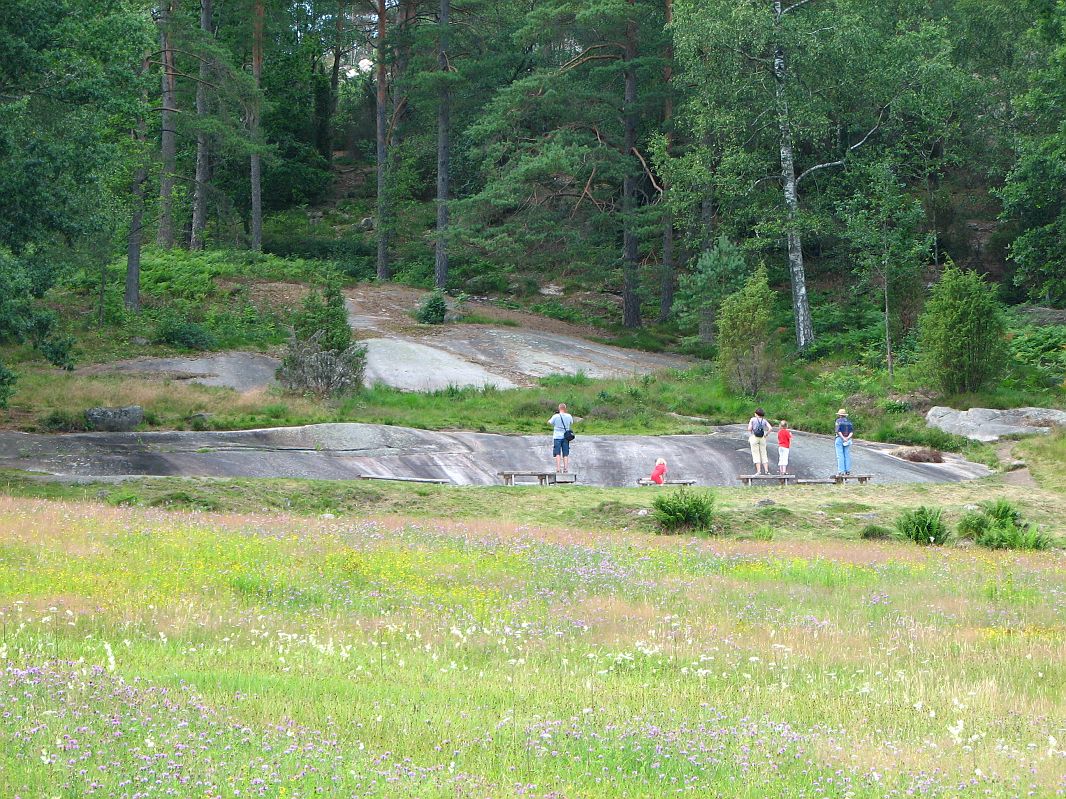 Vitlyckehäll - największa w Skandynawii płaska skała z petroglifami z nordyckiej epoki brązu