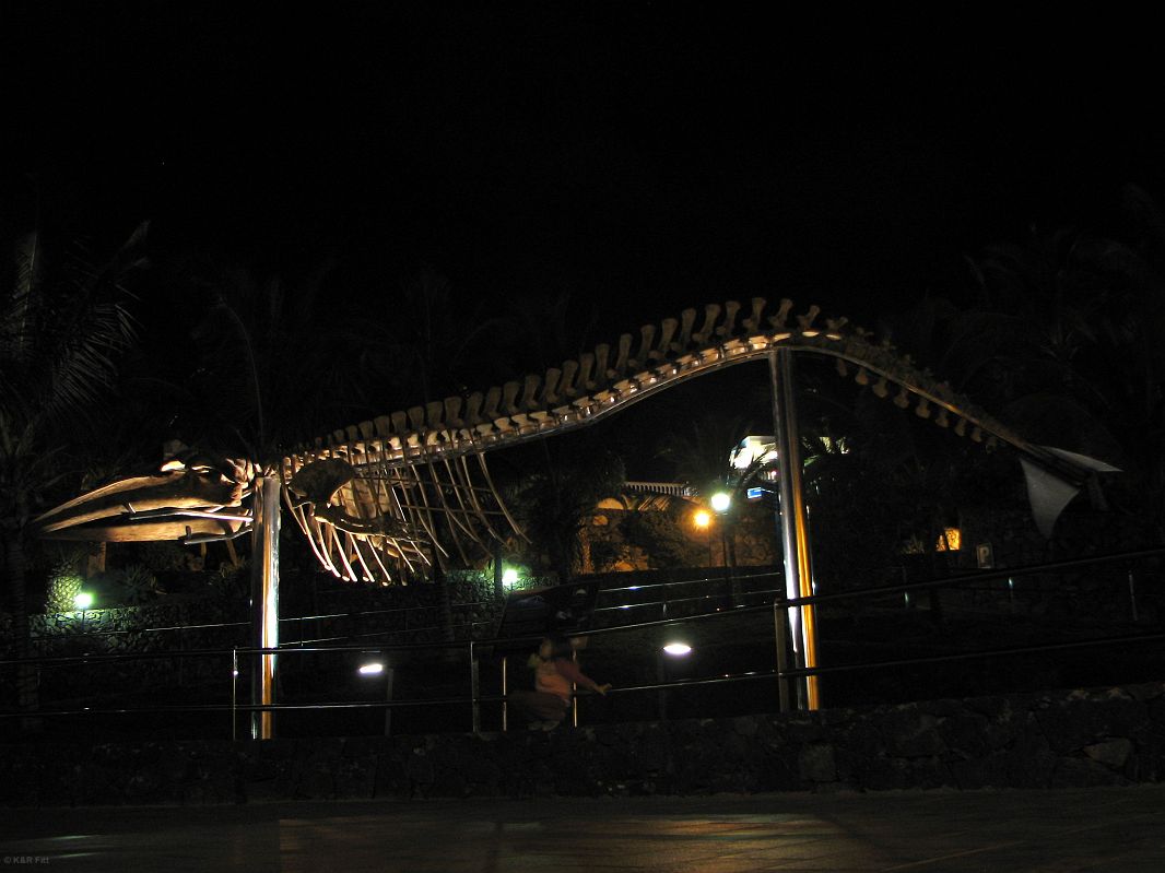 Szkielet wieloryba, Puerto Calero, Lanzarote