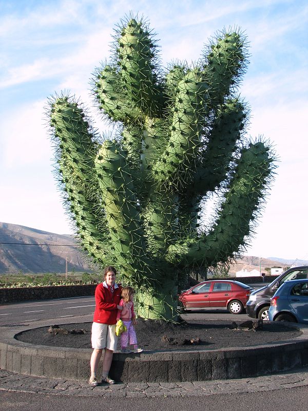 Jardín de Cactus, Lanzarote