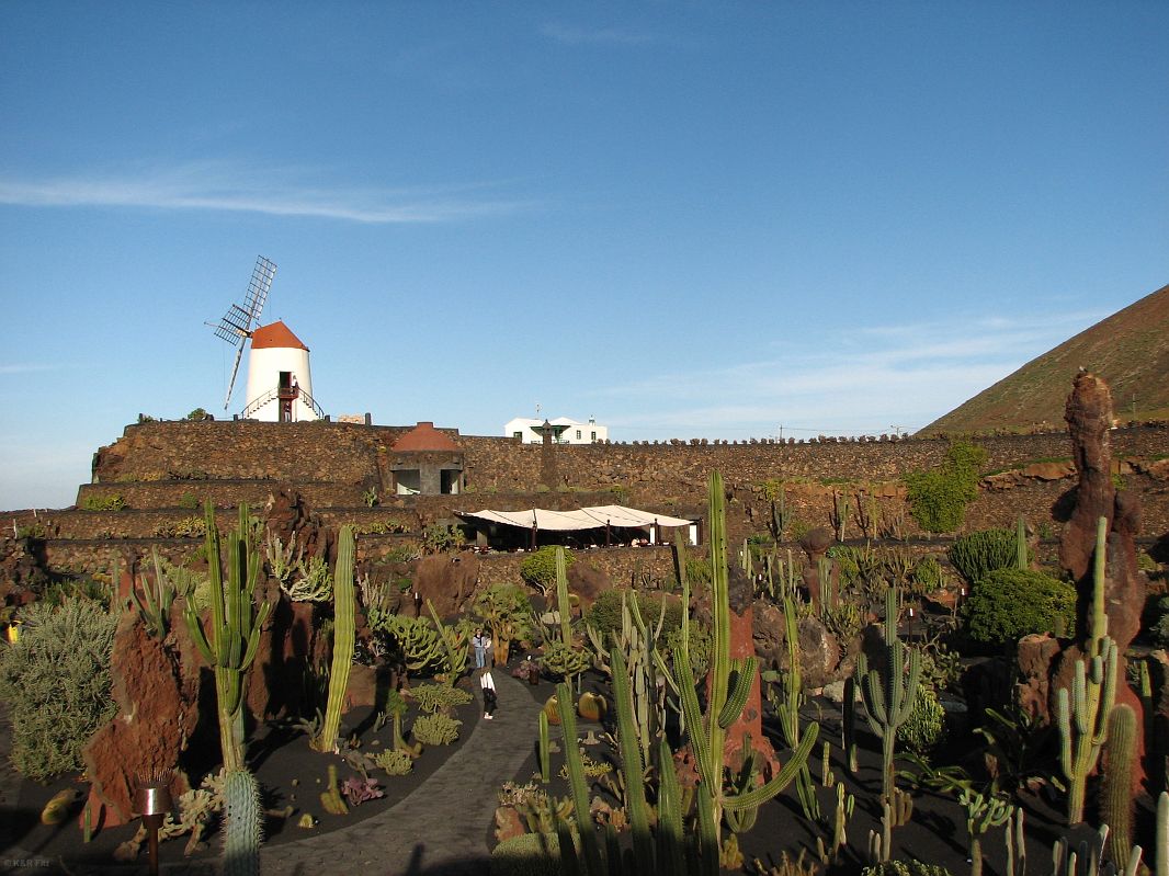 W Jardín de Cactus rośnie 1,5 tys. gatunków kaktusów z całego świata, Lanzarote