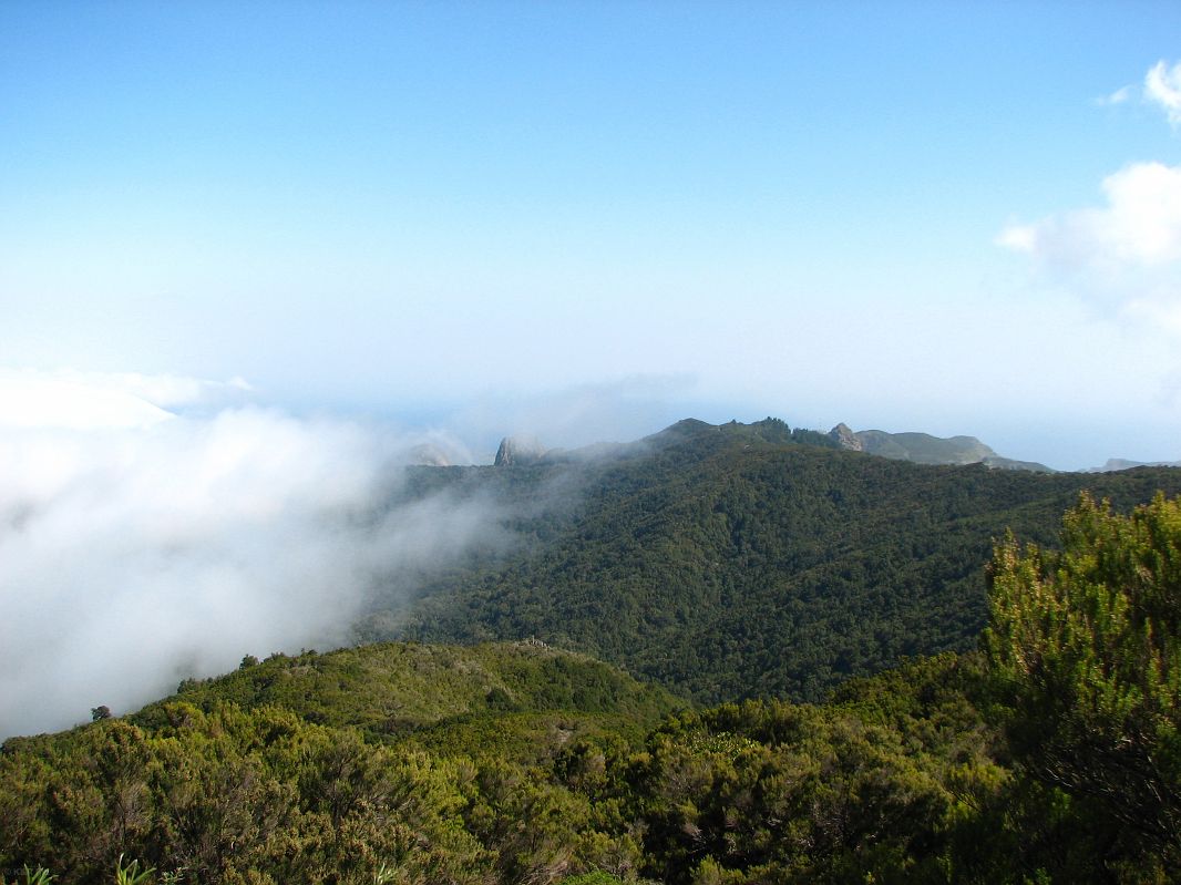 Zderzające się ze sobą masy powietrza powodują mgłę, która skrapla się na roślinach i spływa po nich na ziemię, stąd tak duża wilgoć, Gomera