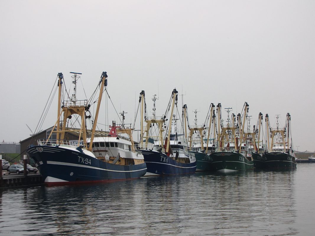 Port rybacki w Texel