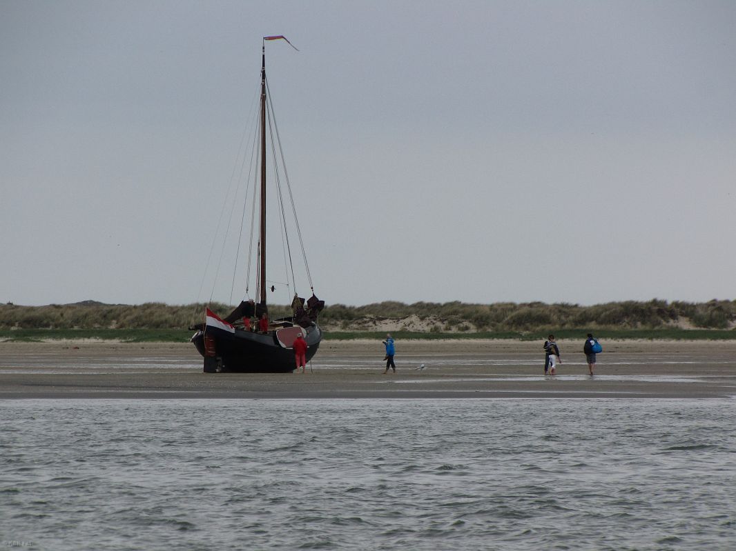 Osuch na West-Terschelling
