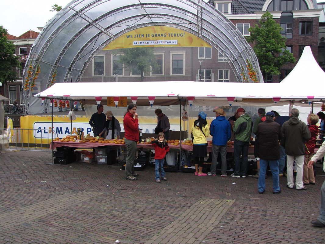 Targi sera w Alkmaarze