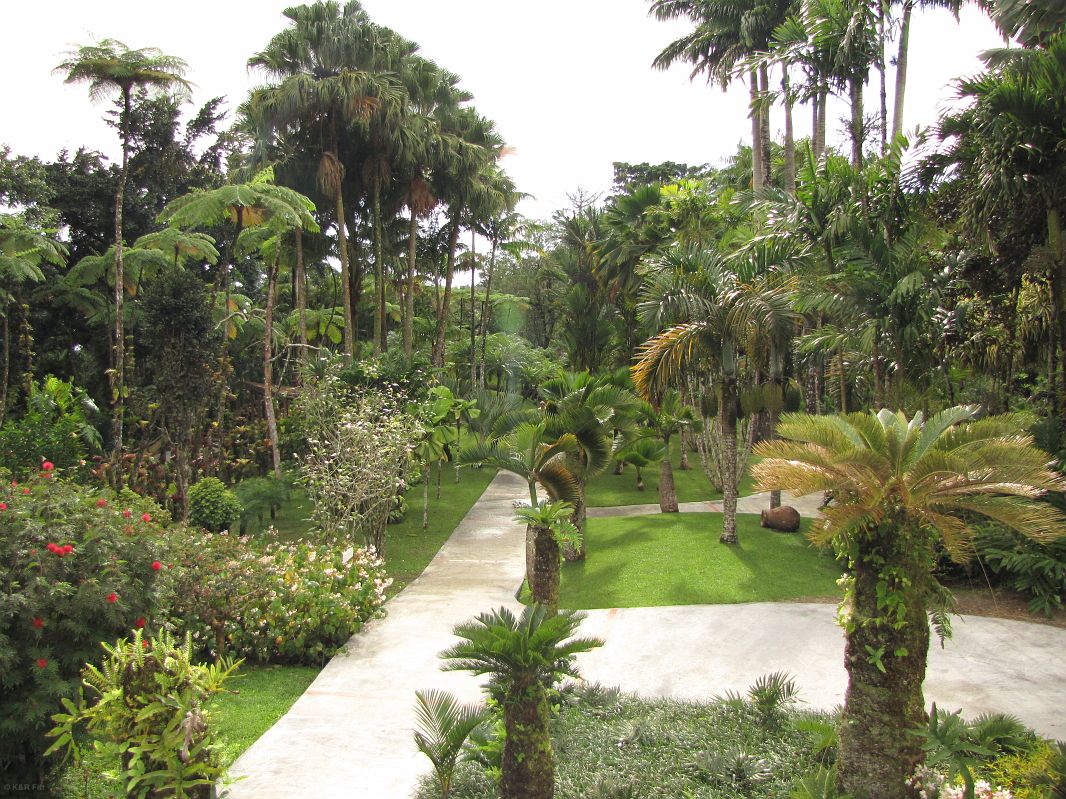 Jardin de Balata – ogród botaniczny na Martynice, kilkanaście kilometrów na północny zachód od Fort-de-France