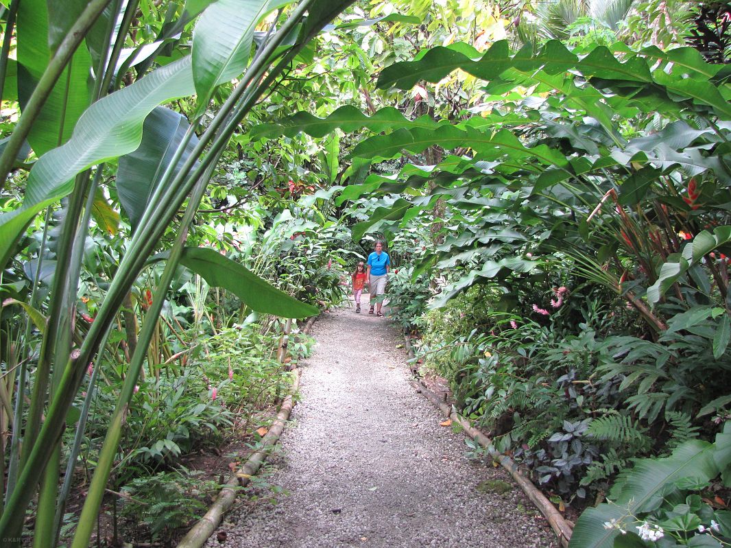 Diamond Botanical Gardens, St. Lucia