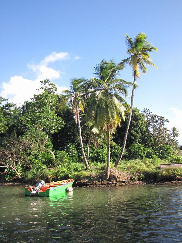 Kiedy europejczycy odkryli Dominikę, na brzegach rzeki była duża kolonia indian Karibów, od których pochodzi nazwa rzeki - Indian River, Dominika