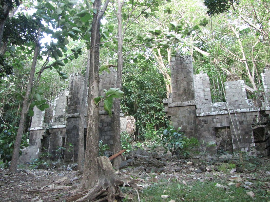 Ruiny Domu Komendanta, Fort Shirley, Dominika