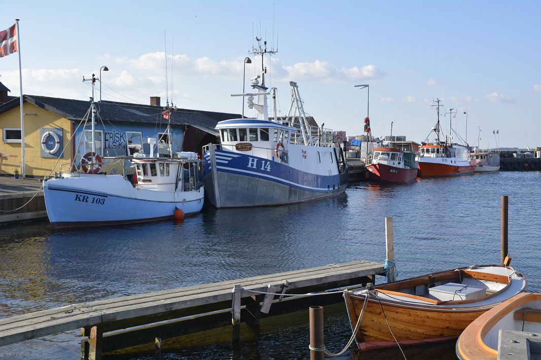 Port rybacki w Omø