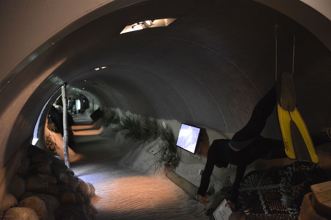 Podwodny tunel