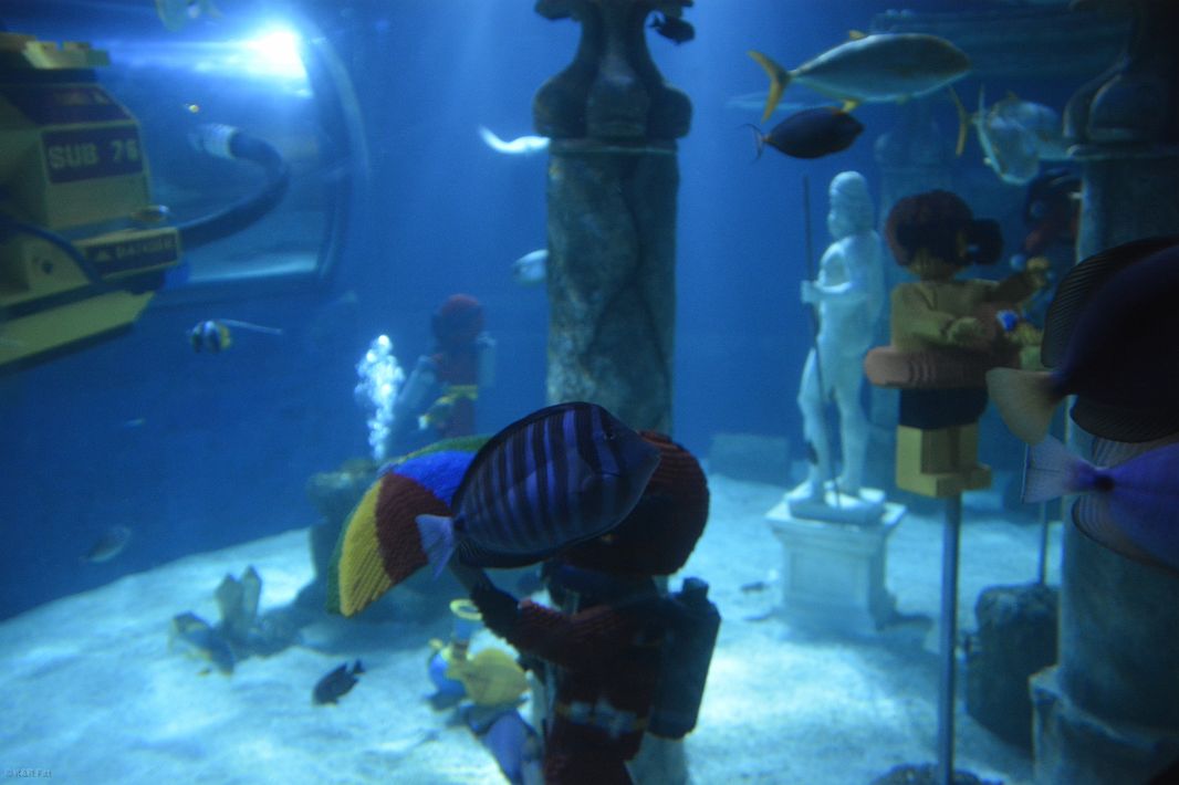 Oceanarium  w Legollandzie