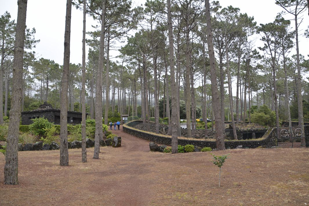 Reserva Florestal dos Mistérios de São João