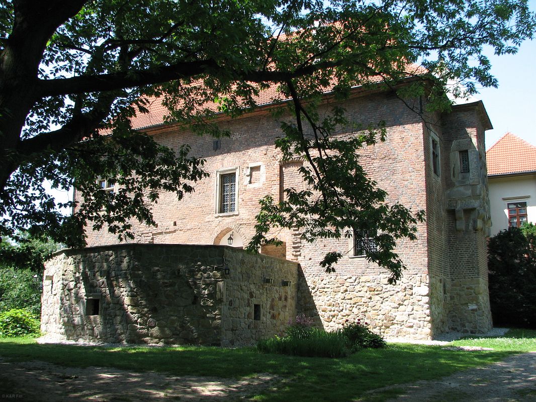 Zamek w Dębnie